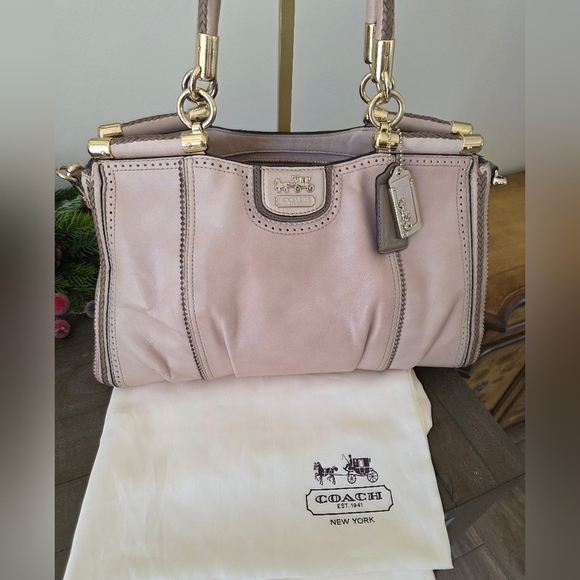 Coach Madison Pinnacle Carrie Satchel Blush Leather Zig Zag Perforated - Picture 16 of 16